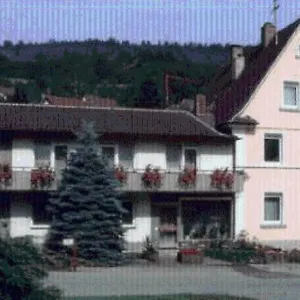 gastehaus-endrich.hotelsheidelberg.net/